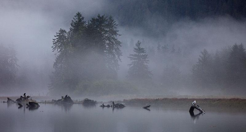 Morning Calm.jpg